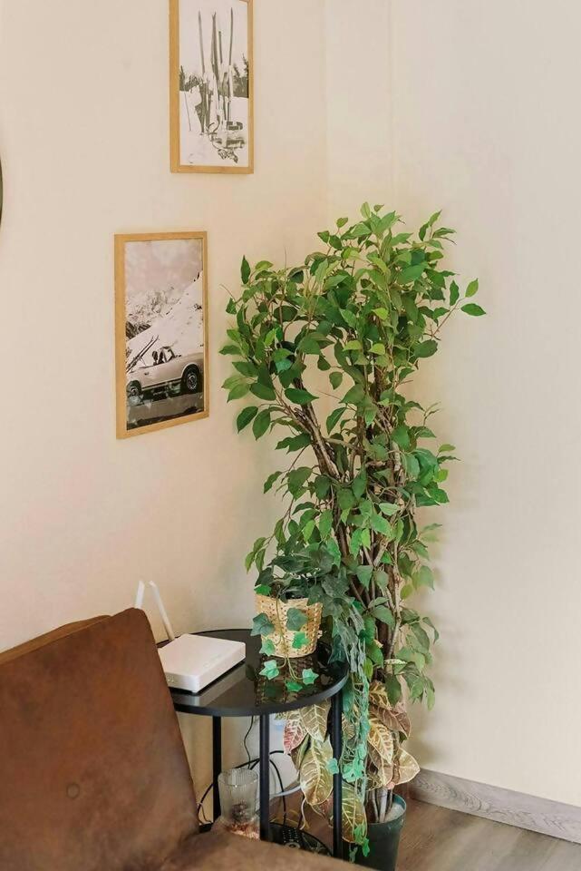 La Casita Del Arbol Apartment Sallent De Gallego Bagian luar foto